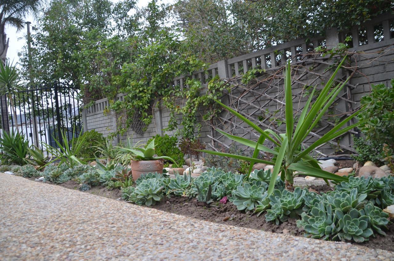 Hotel Anni Bos Municipalità locale di Municipalità locale di Stellenbosch Esterno foto
